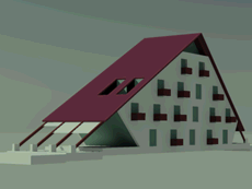 studii de caz