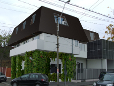 studii de caz